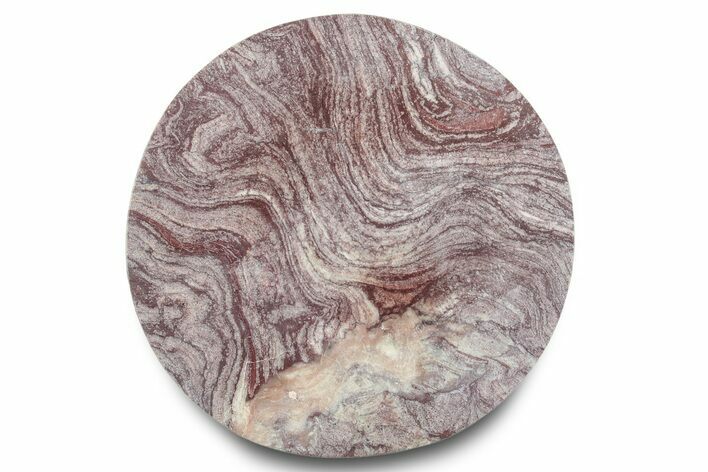 Polished, Neoproterozoic Stromatolite (Conophyton) - Morocco #276096